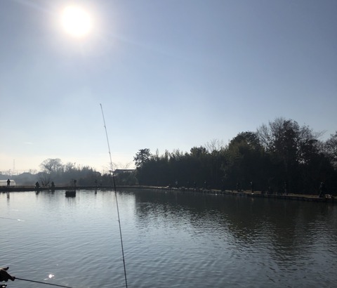 20191231_002734470_iOS
