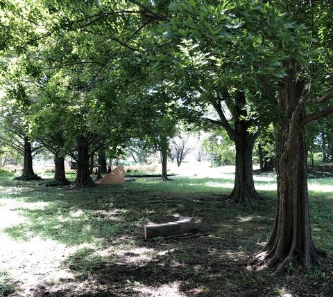 20200908_013556937_iOS