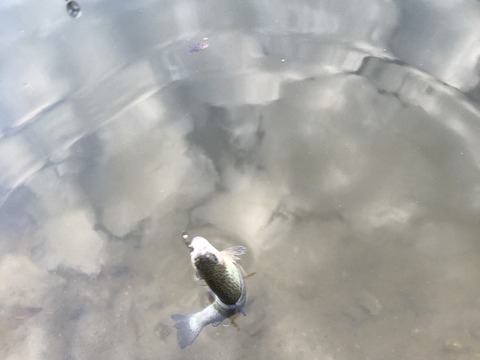 20211102_065052027_iOS