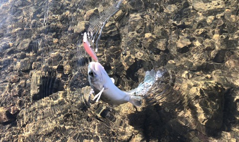 20191224_010250976_iOS