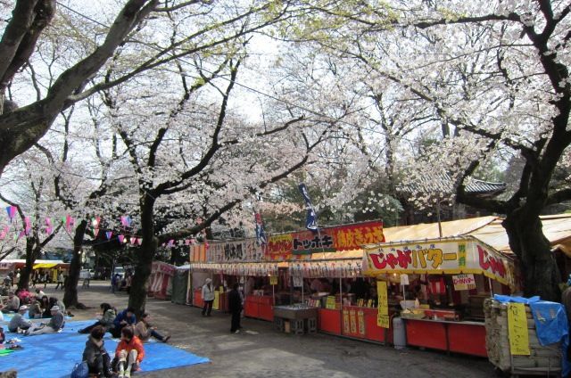 近所のお花見スポット18年 不動産屋さんの社長って 愛和住販社長ブログ