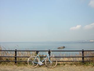 00803cd7.jpg