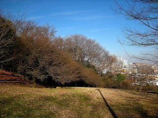 鹿島田たけうち10