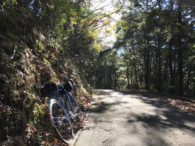 房総久留里〜大原ラン_10
