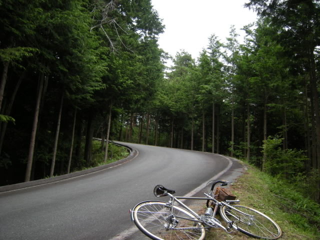 DSCN0729