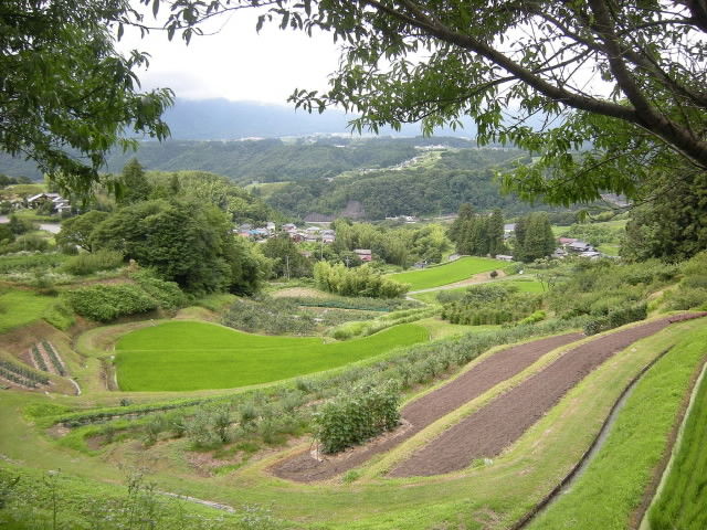 DSCN0716
