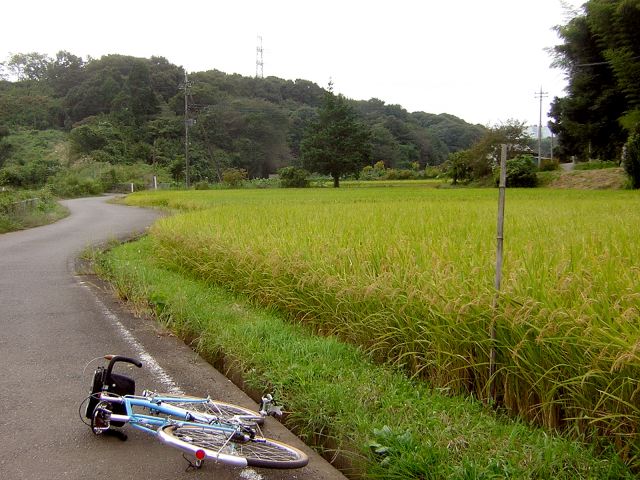34b5e560.jpg