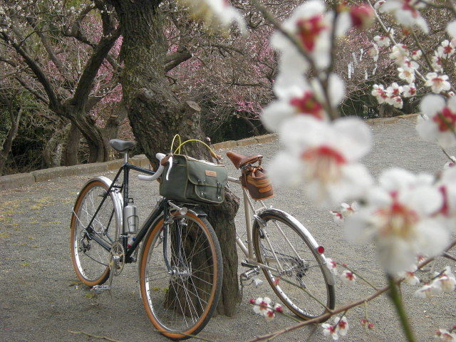 DSCN3842