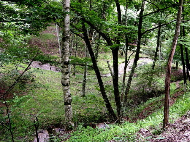 DSCN0768
