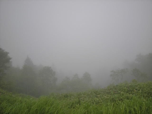 DSCN0006