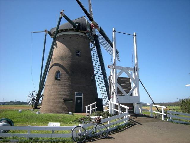 DSCN0310