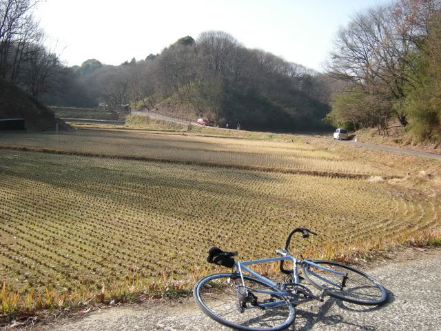 7539d717.jpg