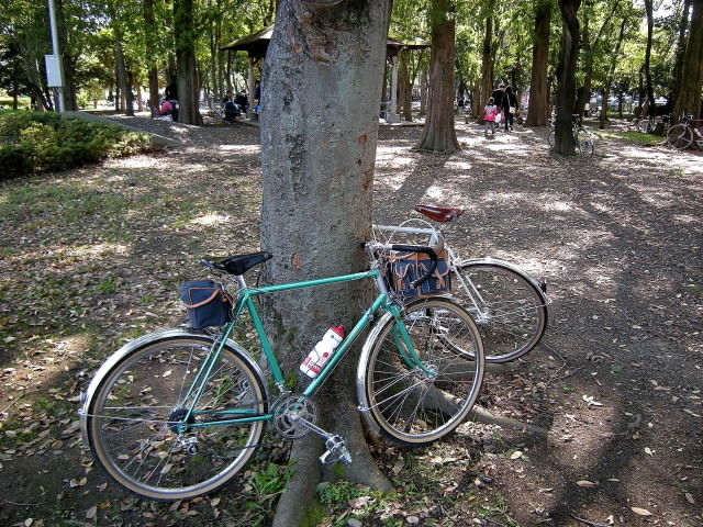 DSCN0577