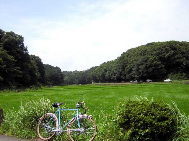 8efdc4a0.jpg