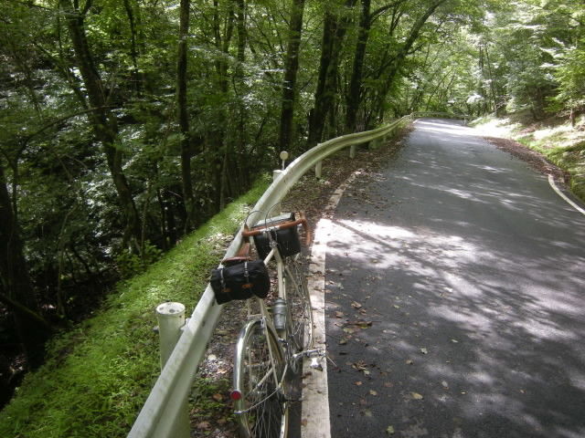 DSCN0231