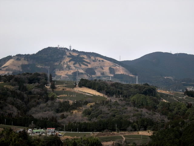 DSCN0882