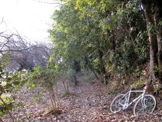 DSCN0751