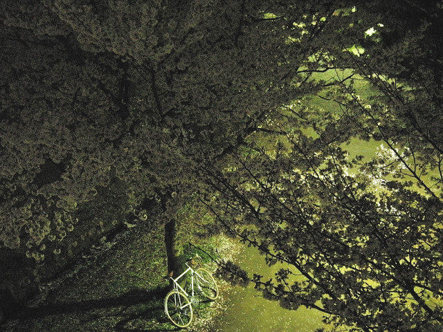 4_9近所の桜19_001
