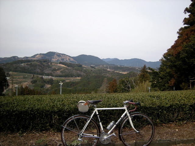 DSCN0881