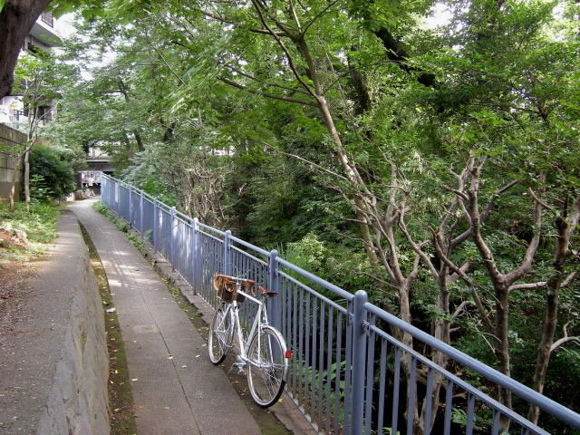 DSCN9913