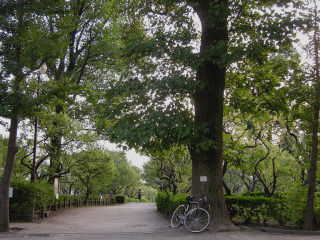 DSCN2998