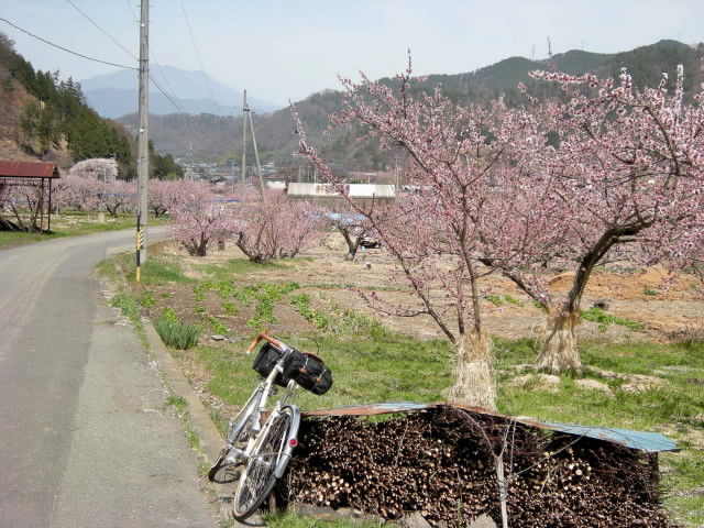 DSCN0967