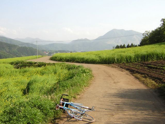 d34846e7.jpg