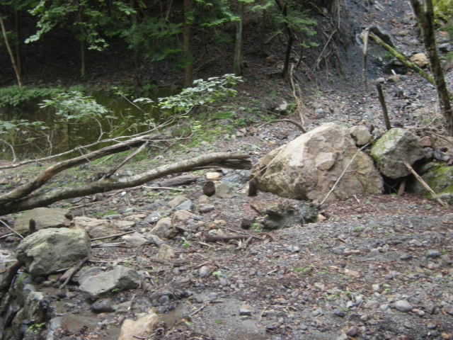 DSCN0171