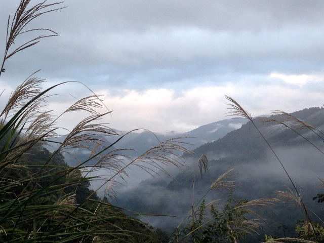 夏休 大町_246