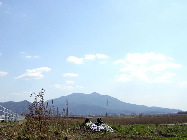 e4490678.jpg