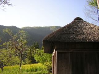 ed0365c2.jpg