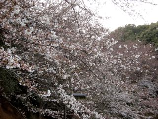 f5ae547d.jpg