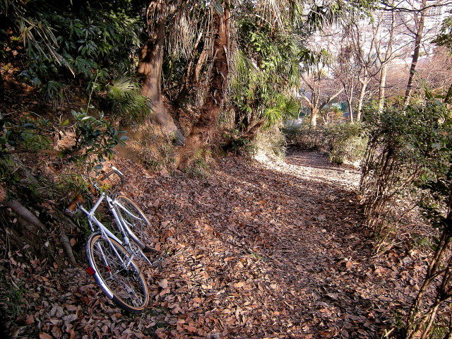 DSCN0754