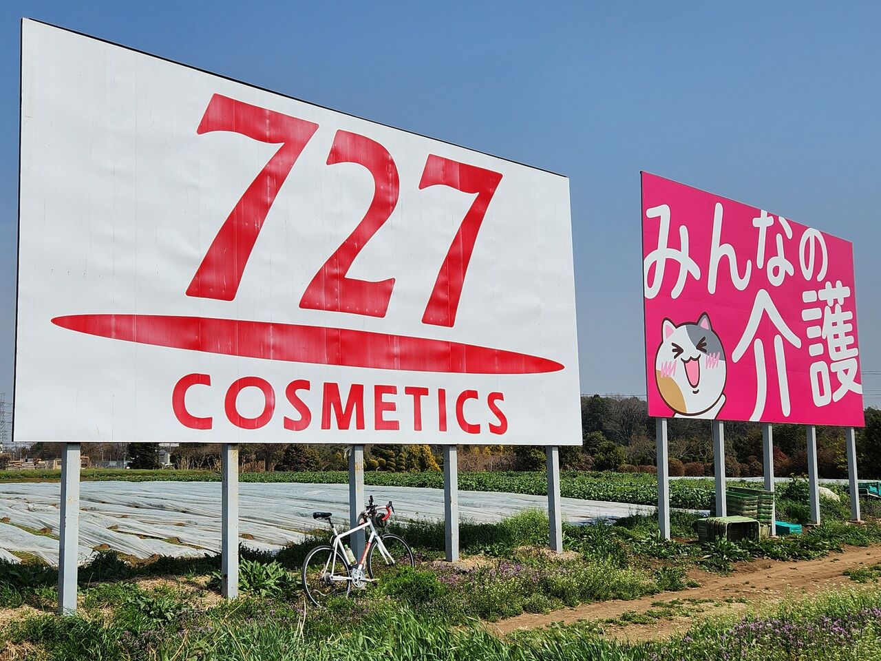 727化粧品の野立て広告を探すサイクリング : サイクリング評論家～平本雅典