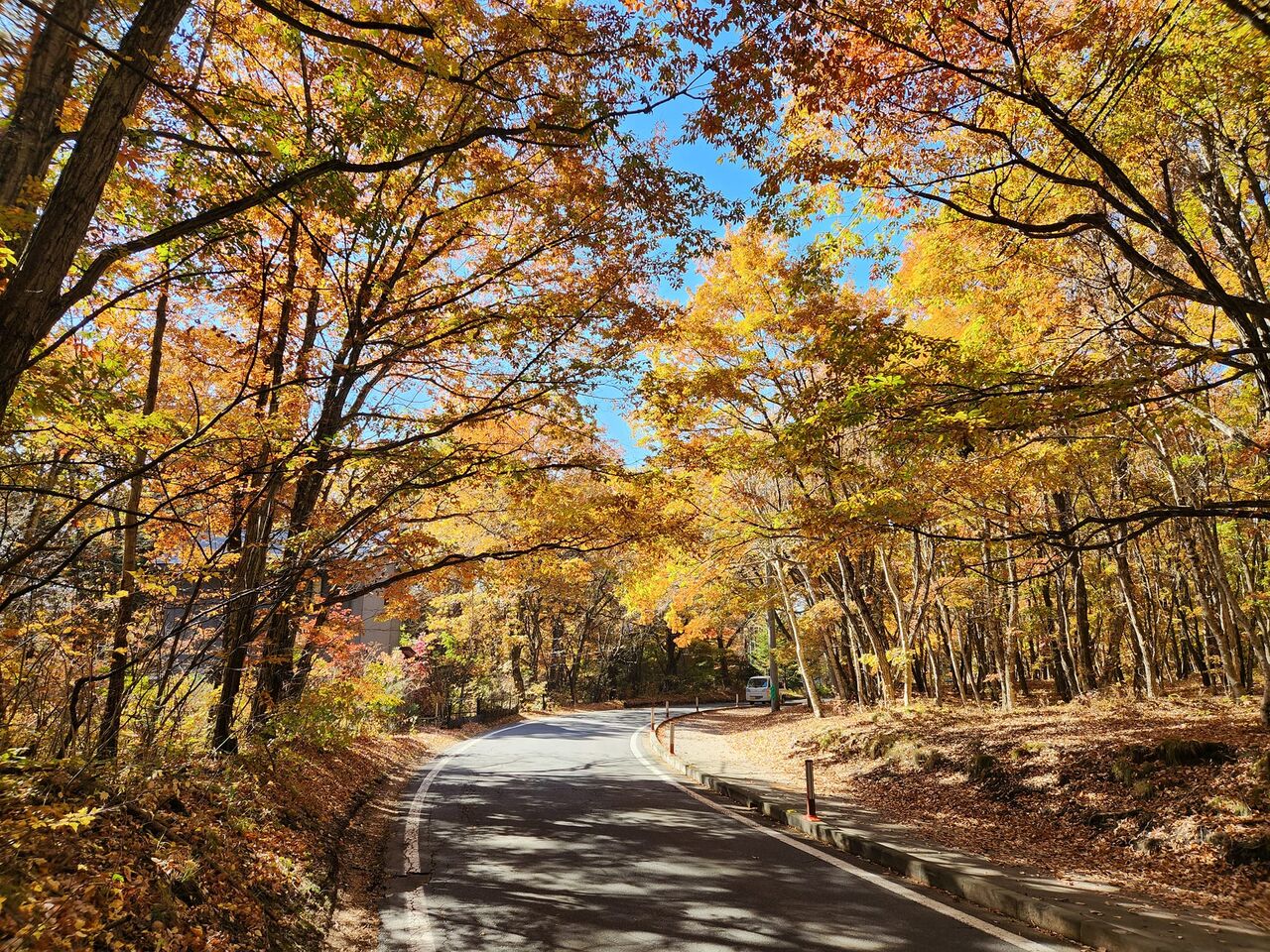 e-bikeで碓氷峠を上り軽井沢へ、でもメインは浅間山麓1000m林道だ