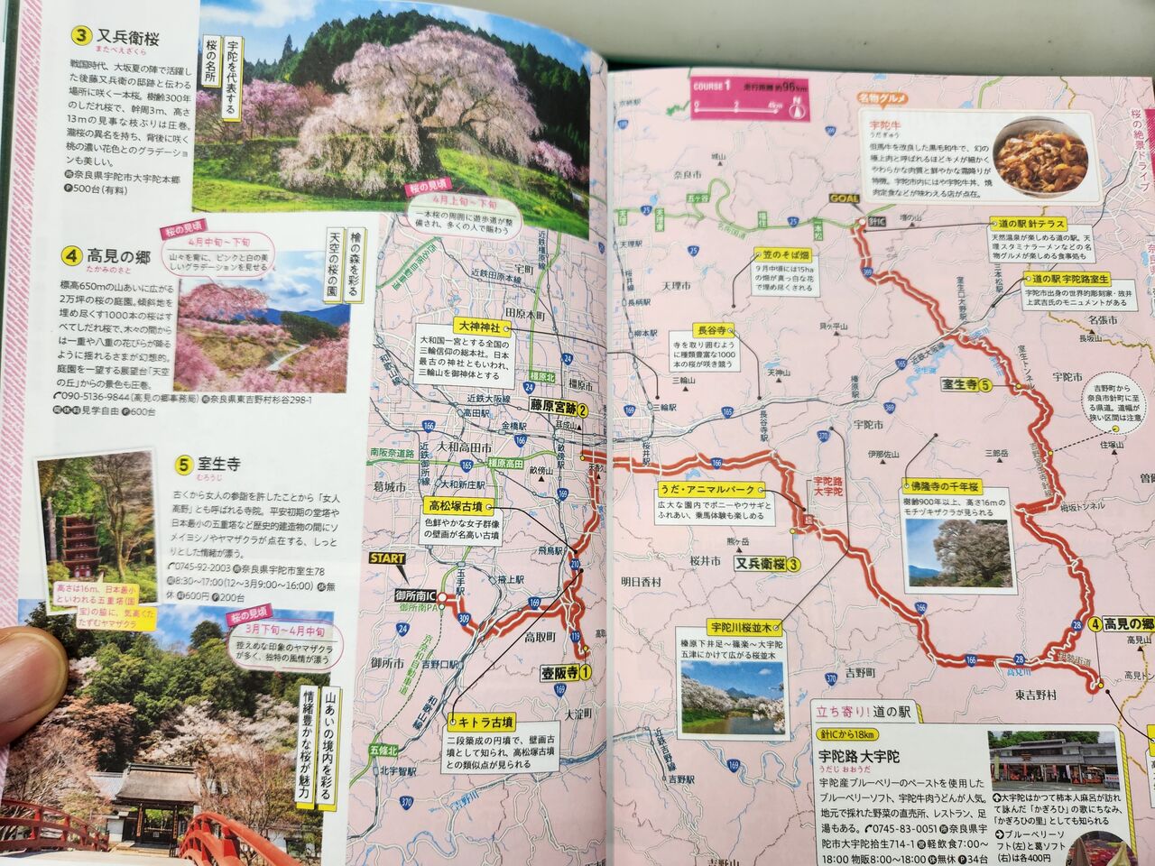 今読むべきサイクリング本の（続）10冊、（11）息をのむ絶景ドライブ