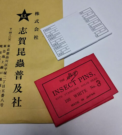 素人の100均標本箱作り その２ ふじたいらの道草日記