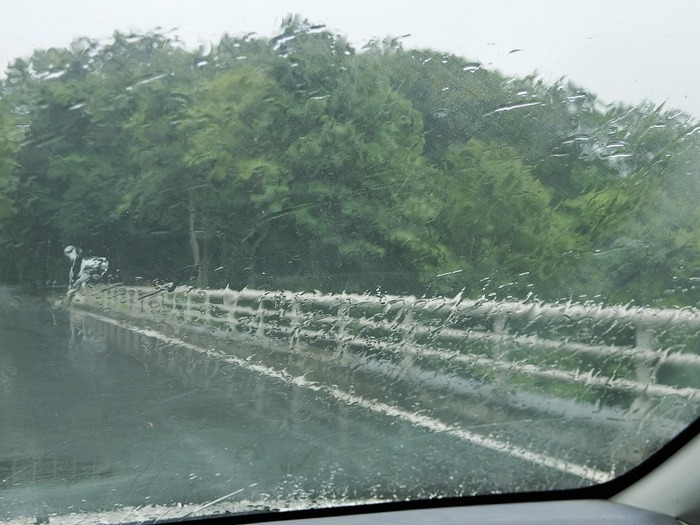 雨の岩手