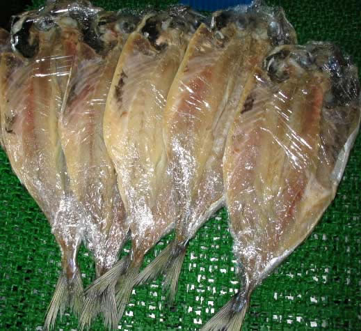 aji2009