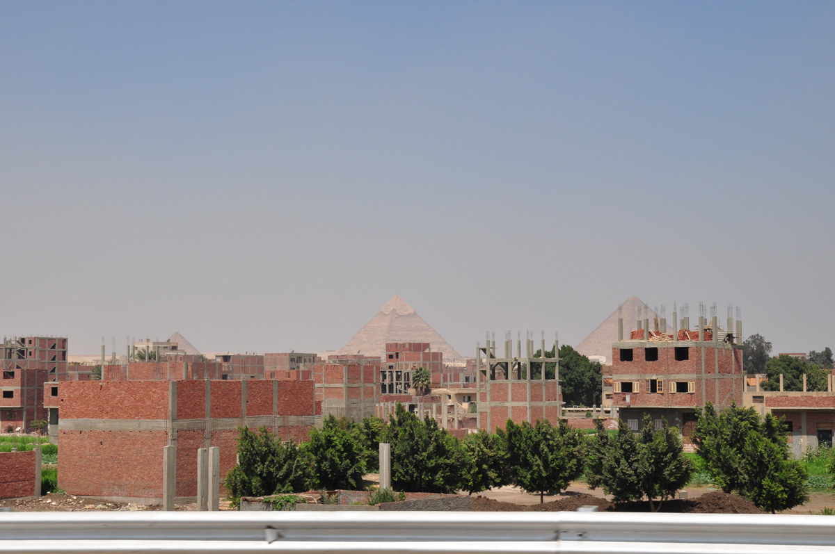 Ajiokaエジプト写真展開催中 Libero Come Un Gatto