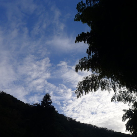 2013_09280020