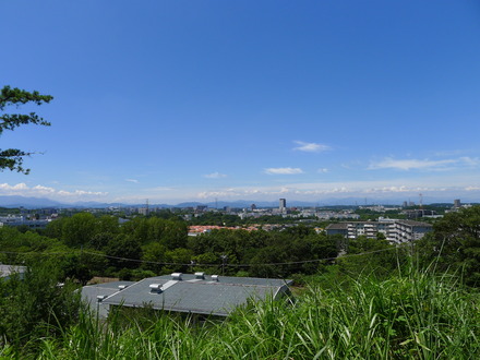 2016_07300018
