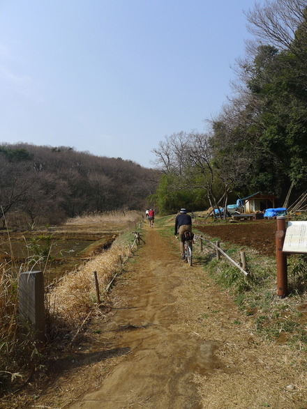 2013_03100028