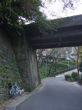 �롼�׶�