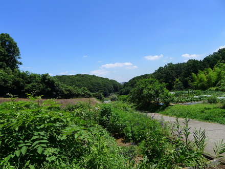 2016_07300008