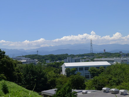 2016_07300024