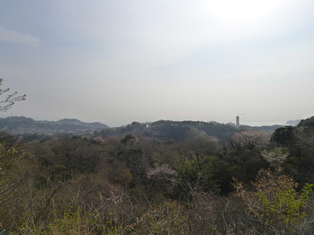 2013_03240016