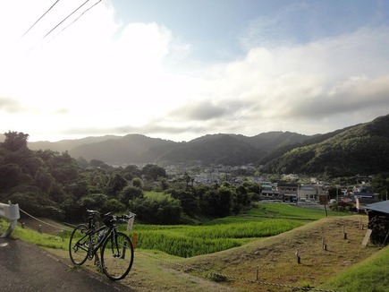 棚田上から