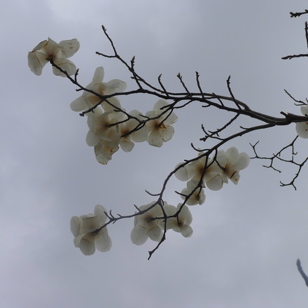 2013_03230025