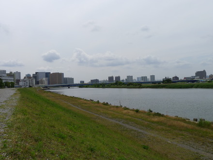 2015_06110016